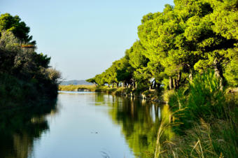 canal de la roubine